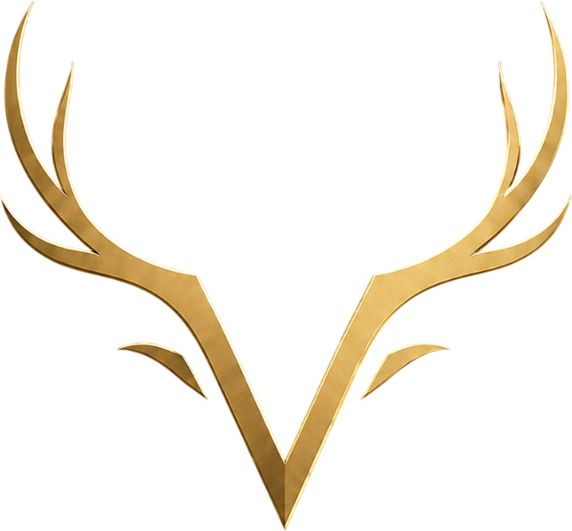 Velora Logo Mark